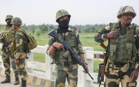 BSF shoots Pakistani intruder crossing Jammu border