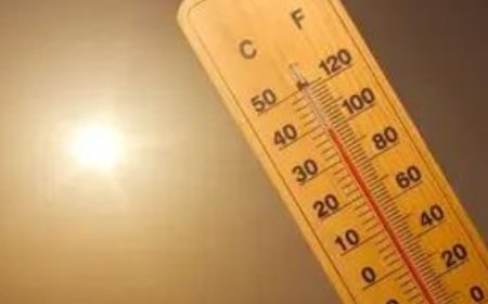 North and West India to battle heatwave in coming days while rain drenches South and East, says IMD scientist