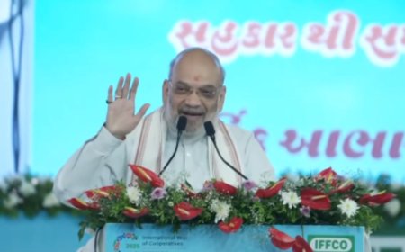 'Played very important role': Amit Shah hails IFFCO’s contribution in making India self-reliant in foodgrain sector