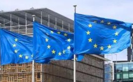 India and EU strengthen climate partnership with strategic meetings, climate envoys of four nations join in