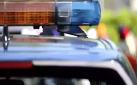 J&K police arrest wanted criminal