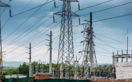 UP power department sacks lineman for waving Palestine flag