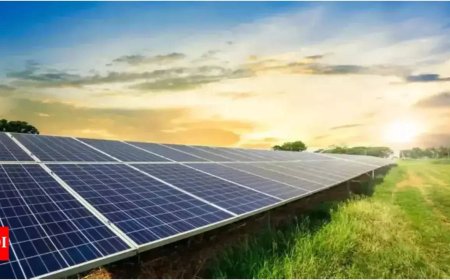 India 3rd largest generator of electricity from wind, solar in 2024; AI, EVs and data centres increase global electricity demand: Report