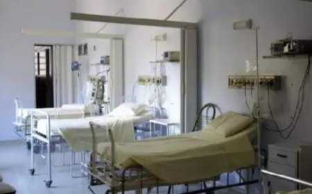 World Health Day: Privatization of government hospitals through PPPs flagged