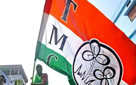 BJP releases alleged chat of TMC MPs' spat: 'Who is versatile international lady?'