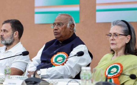 'Shadow cabinet, Seva Dal': Sanjay Jha's 5-point prescription for revival of Congress