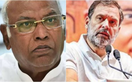 Congress plans big party rejig: What are the proposed organisation reforms