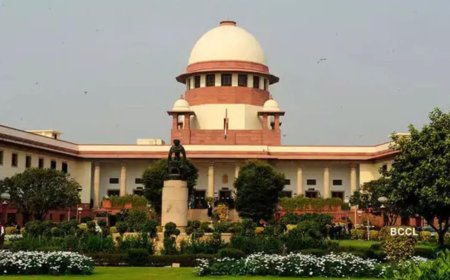 Constitution, not political expediency, should guide governors, observes SC