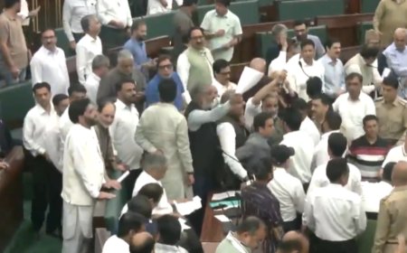 Watch: Scuffle breaks out between lone AAP MLA and BJP leaders in J&K assembly