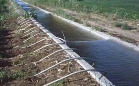 Big boost for water management: PM ‘krishi sinchayee yojana’ expanded