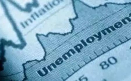 India’s unemployment rate dips slightly to 4.9% in 2024; mixed trends seen across regions and genders
