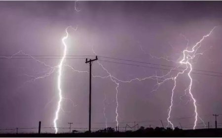 Lightning strikes kill 13 in four districts of Bihar, CM announces Rs 4 lakh compensation