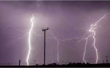 Lightning strikes kill 25 people in Bihar, CM announces 4 lakh ex-gratia for victims