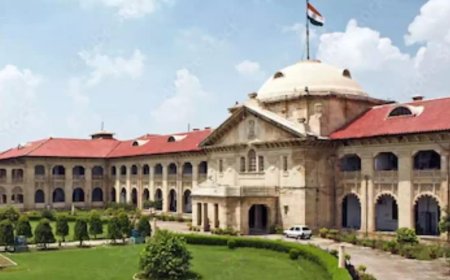 'Woman herself invited trouble': Allahabad HC grants bail to rape accused