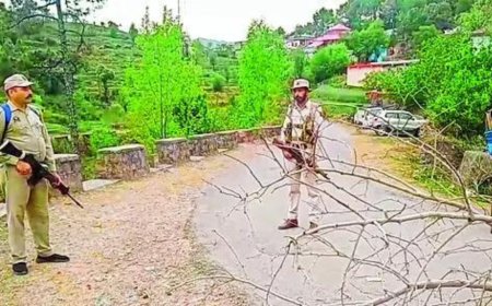 Two J&K govt employees sacked for 'terror links'
