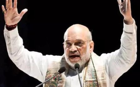 Amit Shah: Drug cartels being destroyed with full might