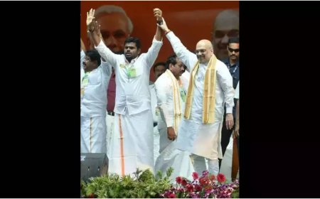 'Will leverage his organisational skills in national framework': Amit Shah hints new role for K Annamalai