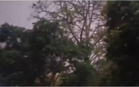 Dust is in the air: Strong storm in Delhi-NCR brings temperature down, flights diverted