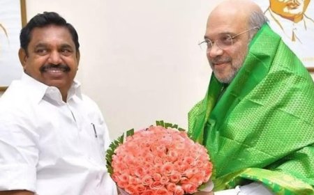 'Was most expected': DMK takes 'fell at BJP's feet' dig at Palaniswami as AIADMK reunites with NDA
