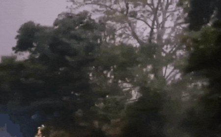 Dust is in the air: Strong storm in Delhi-NCR, 4 injured; flights diverted