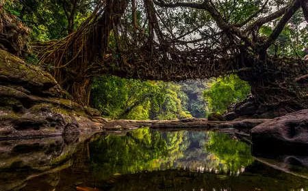 Hungarian found dead in Meghalaya