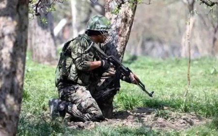 Pakistan violates ceasefire along LoC, Army JCO killed during encounter with terrorists