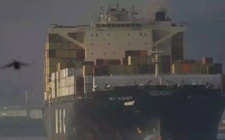 India, 61 countries agree to world's 1st global carbon tax in shipping industry