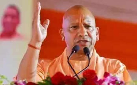 'Have to protect every Hindu... ': Yogi Adityanath uses partition parallel to slam Congress, SP over Dalit persecution in Bangladesh