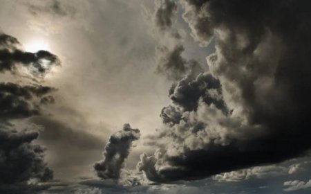 India to experience above-normal rainfall this monsoon, says IMD