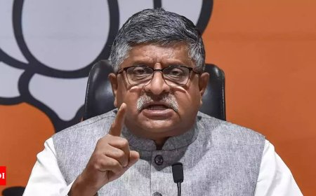 No one has licence to loot, Gandhis must answer charges: BJP