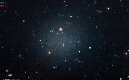 IIA study decodes the curious case of missing dark matter from distant galaxy