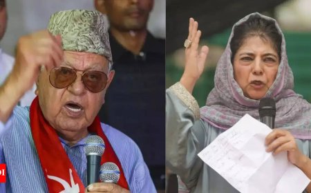 PDP hits back at NC over Article 370, cites ‘deals with BJP’