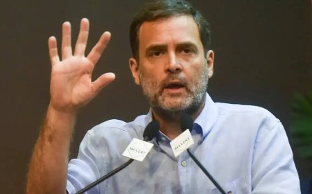 HC gives Centre 2 weeks to file reply in Rahul citizenship case