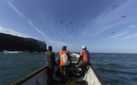 5th Marine Fisheries Census initiated, actual enumeration to be held in Nov-Dec covering 3,500 coastal villages