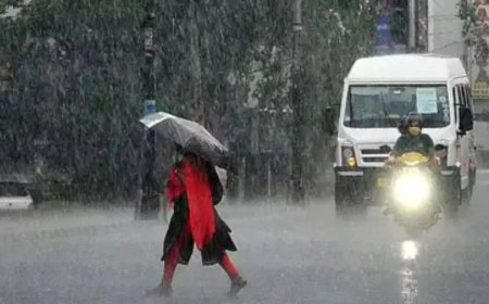 Extreme monsoon may lead to dip in sea fish catch: Study