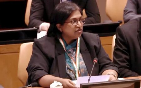 Pakistan a rogue state fuelling global terror: India at UN