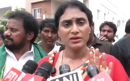 'What is Chandrababu Naidu trying to hide?': Congress Andhra chief YS Sharmila holds rally after alleged house arrest