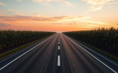 Rs 22,864 crore corridor project connecting Meghalaya to Assam: Key decisions at cabinet meet