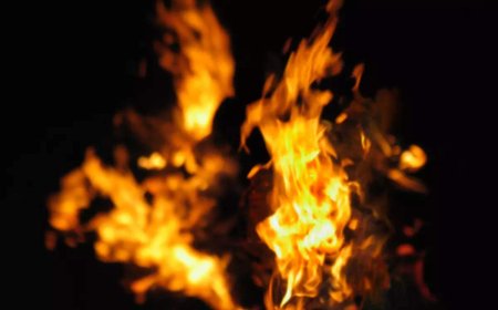 Massive fire breaks out at Dilli Haat, 13 fire engines deployed