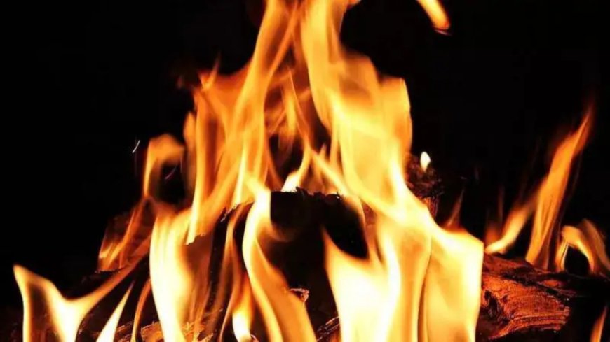 West Bengal: 7 killed, 1 injured in gas cylinder blast in South 24 Parganas