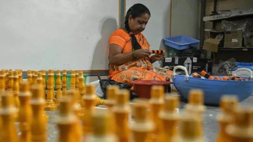 Ctrl C + Ctrl V: Story of eco surveys in Karnataka