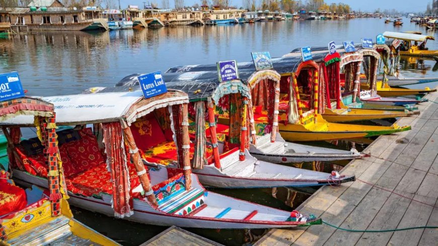 Over 300 projects receive forest clearance in J&K for various projects