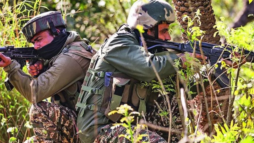 ‘Fugitive’ terrorists spotted in Udhampur, search launched