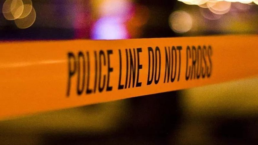 J&K Police attach 2 properties under UAPA