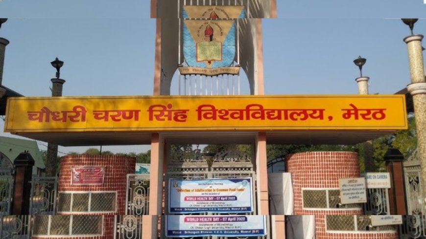 Meerut College professor banned for life from exam duties over questions on RSS