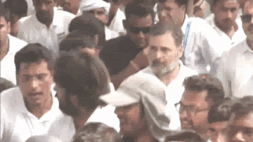 Palayan Roko, Naukri Do: Rahul Gandhi launches 'white T-shirt' yatra in Bihar