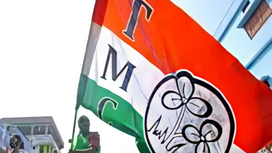 BJP releases alleged chat of TMC MPs' spat: 'Who is versatile international lady?'