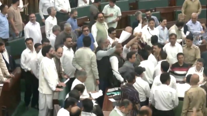 Watch: Scuffle breaks out between lone AAP MLA and BJP leaders in J&K assembly