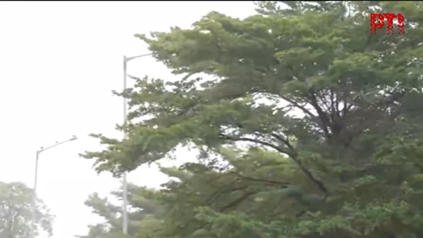 Delhi weather sees sudden turn: Rain, dust storms bring temperatures down in capital