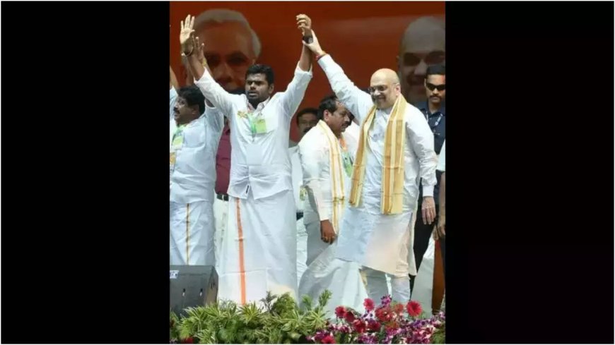 'Will leverage his organisational skills in national framework': Amit Shah hints new role for K Annamalai